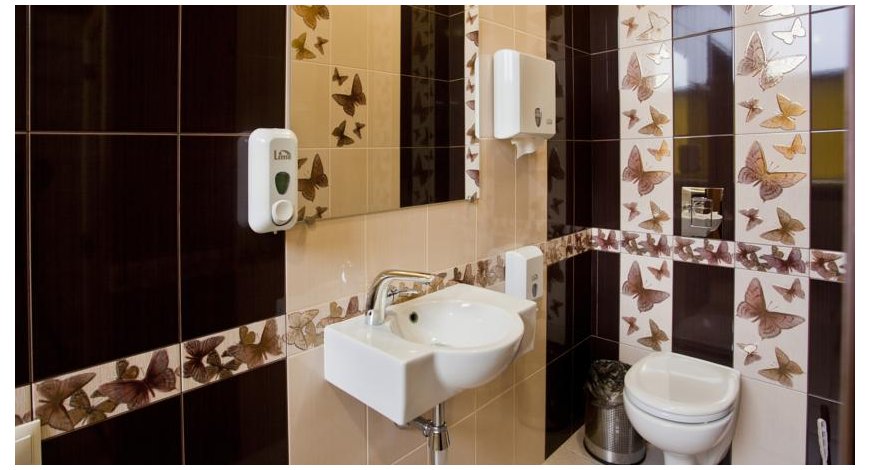 济州排名_济州真柏盆景图片(2)