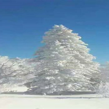 牡丹江顾百香特色民宿酒店提供图片