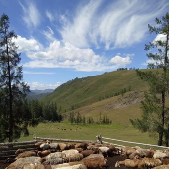 哈巴河草原牧歌山庄