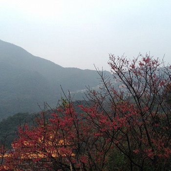 新北九份开门见山民宿