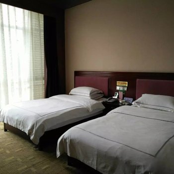 百色平果时代假日酒店酒店提供图片