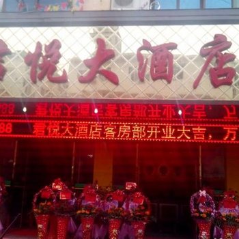 河池环江君悦大酒店酒店提供图片