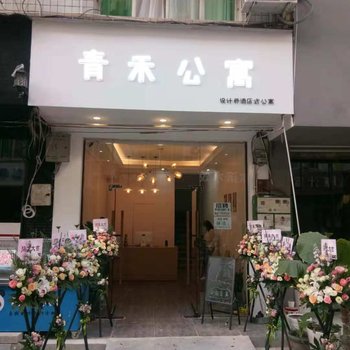 成都青禾设计师公寓