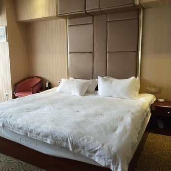 重庆亮江商务酒店酒店提供图片