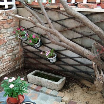 青岛聆竹雅居老洋房酒店提供图片