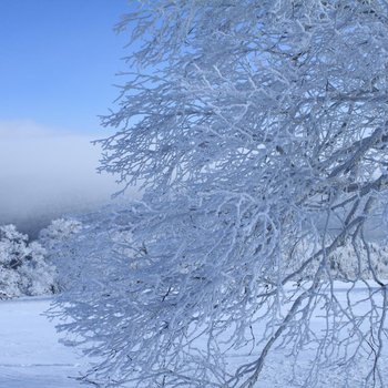 海林雪乡张定玉家庭旅馆酒店提供图片