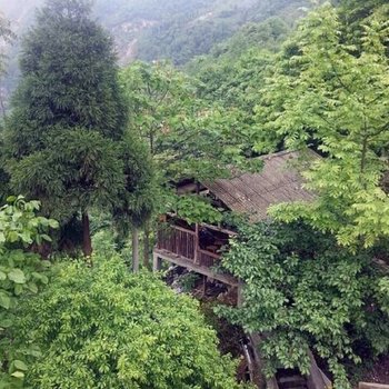 彭州金辉农家乐