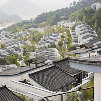 阿丽拉·安吉