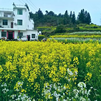 上饶婺源岭上农家客馆酒店提供图片