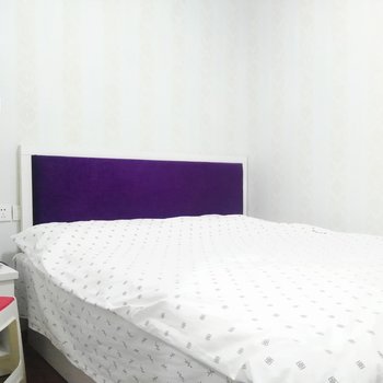 武汉九通公寓(胭脂路毛线分店)酒店提供图片