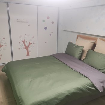 乌鲁木齐浪漫暖屋公寓酒店提供图片