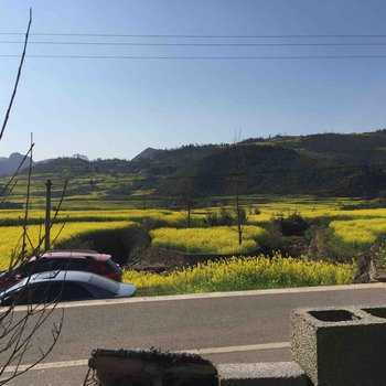 罗平九龙农家园酒店提供图片