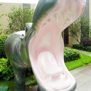 广州长隆高喜度假公寓酒店提供图片