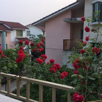 成都青城山双拼别墅酒店提供图片