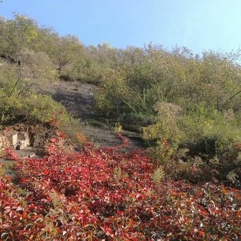 北京隐居山里深呼吸漫生活'孔雀小院'农家乐酒店提供图片