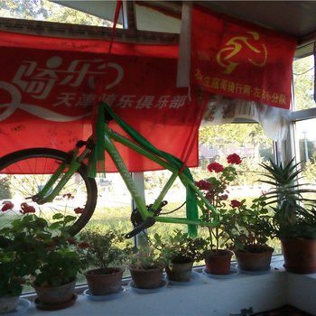 废弃海晏圣湖自行车俱乐部