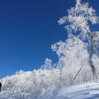 牡丹江雪乡太平沟原始林家庭旅馆酒店提供图片