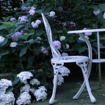 成都空中花园精品民宿(青羊大道草金路口店)酒店提供图片