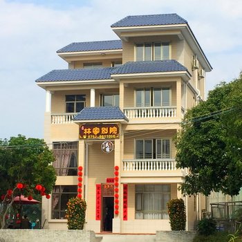 罗浮山林家别院民宿