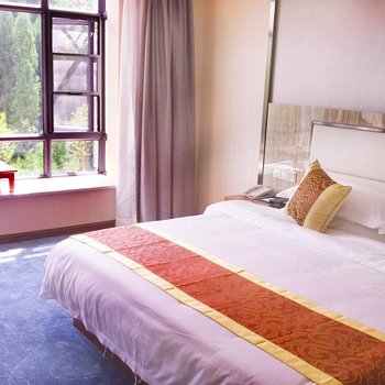 普安森林温泉酒店酒店提供图片