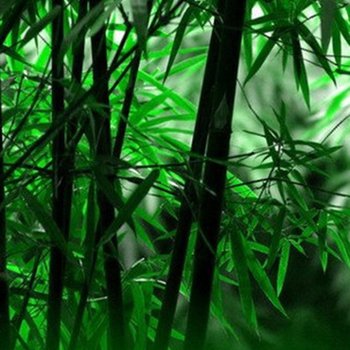 苍梧皇廷商务宾馆