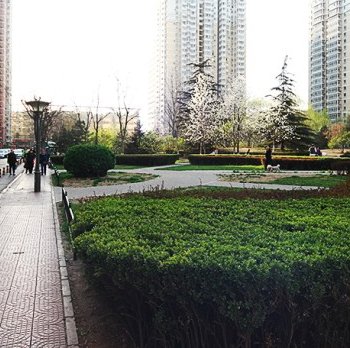 北京芳菲路公寓