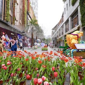 成都如心精选公寓酒店提供图片