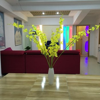 深圳水墨青花太空舱青年旅舍布吉东站店