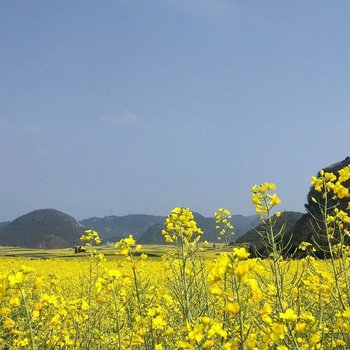 曲靖雯小槿客栈酒店提供图片