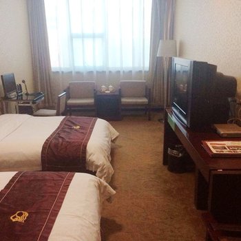 榆林诺蔓蒂大酒店酒店提供图片