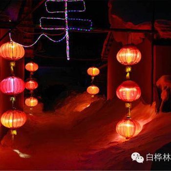 雪乡二浪河宋婷家庭旅馆酒店提供图片