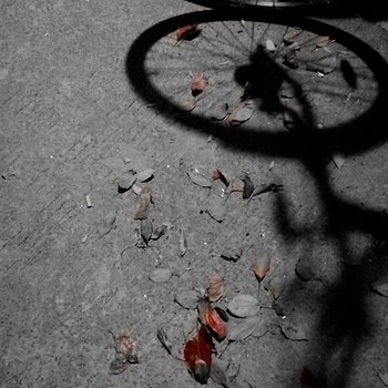 上海秋舍小宿特色民宿(东平路分店)酒店提供图片