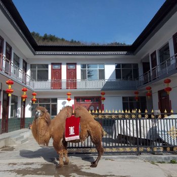 麦积山骆驼王子民宿
