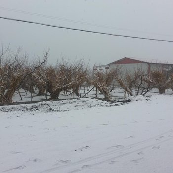 丹东大慧私房菜农家乐酒店提供图片