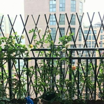 深圳laura_78特色民宿(金龙路与民塘路交叉口分店)