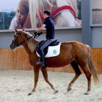 崇明绿地长岛壹号会所酒店提供图片