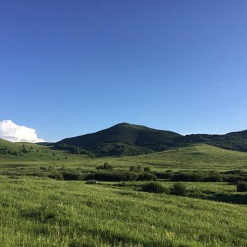 承德坝上草原欣欣茹苑农家院酒店提供图片