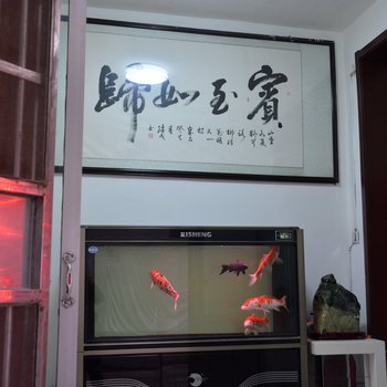 泰安槐树居宾馆酒店提供图片