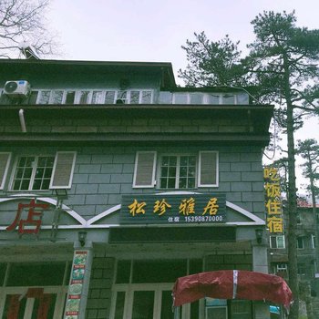 庐山风景区松珍雅居酒店提供图片