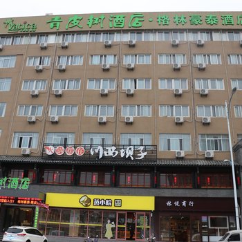 青皮树合肥安农大地铁站安庆西路酒店酒店提供图片