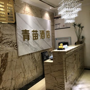 雅安青苗公寓酒店提供图片