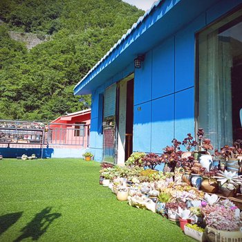 神农架木鱼镇青天袍茶园客栈