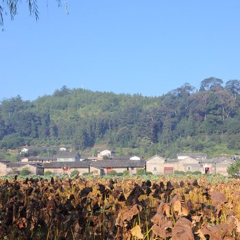 连城未晚山居客栈酒店提供图片