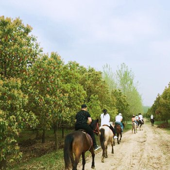 (途家豪宅)杭州岚心谷轰趴馆酒店提供图片