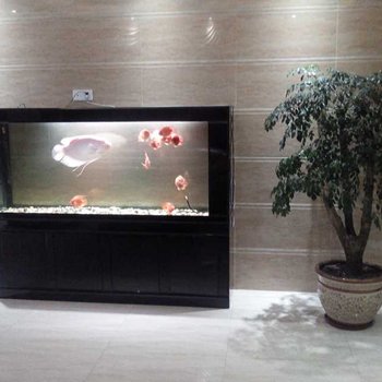 中山现代休闲公寓酒店提供图片