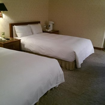 高雄大都会国际酒店酒店提供图片