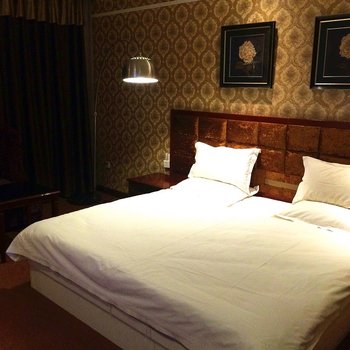 漯河罗曼假日酒店酒店提供图片