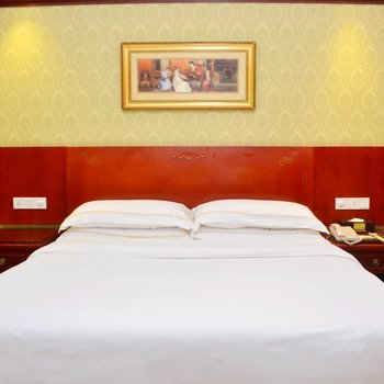 维也纳酒店(惠州中信店)酒店提供图片