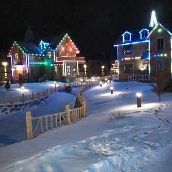 亚布力滑雪场风情别墅酒店提供图片