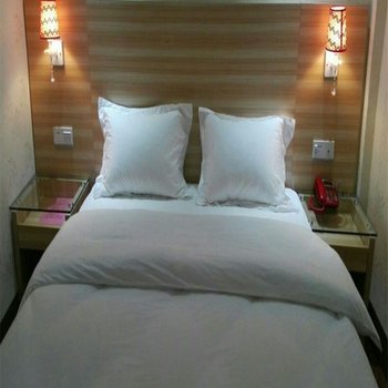 天等县嘉豪商务酒店酒店提供图片